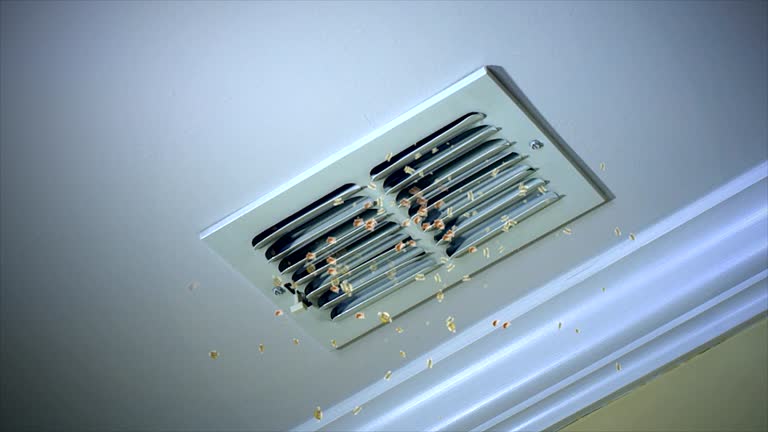 Best Air Duct Inspection  in St Bernard, OH