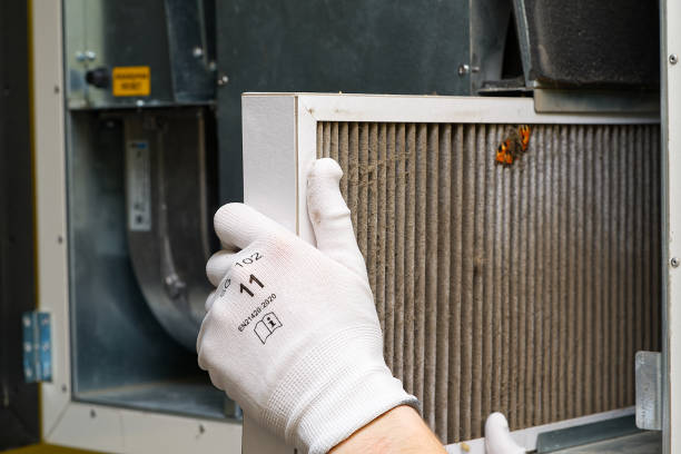 Best Ductwork Cleaning Services  in St Bernard, OH